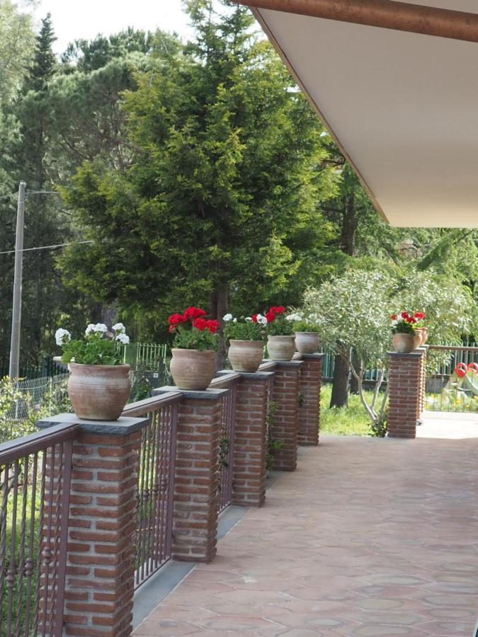 Etna Casa Del Sole Bed & Breakfast Nicolosi Luaran gambar